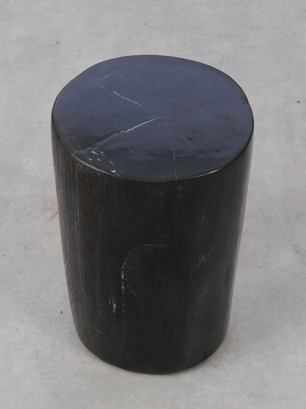 Side table petrified wood 53452