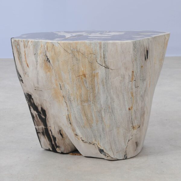 Side table petrified wood 53454