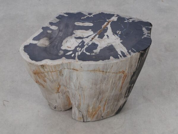 Side table petrified wood 53454