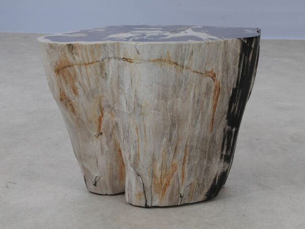 Side table petrified wood 53454