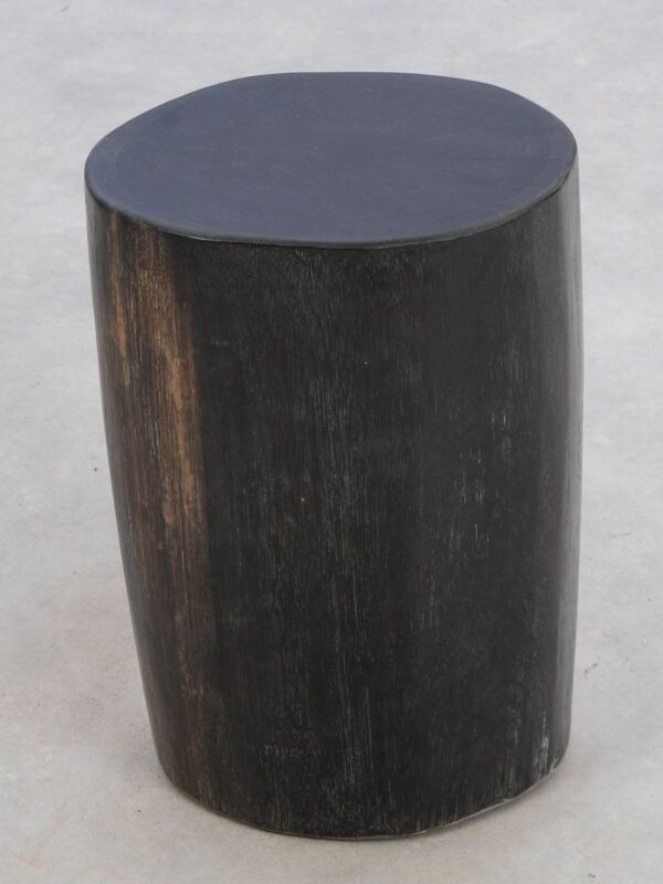 Side table petrified wood 49079