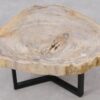 Table basse bois pétrifié 53268