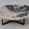 Table basse bois pétrifié 53278