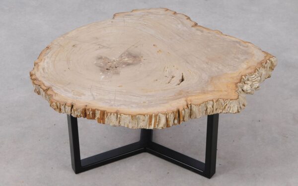 Table basse bois pétrifié 53304