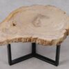 Table basse bois pétrifié 53309
