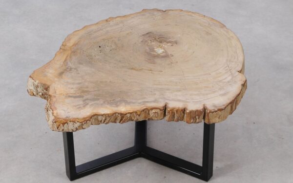 Table basse bois pétrifié 53310