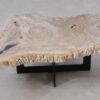 Table basse bois pétrifié 53312