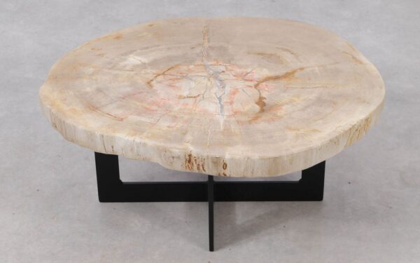 Table basse bois pétrifié 53322