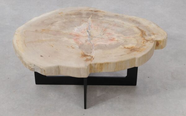 Table basse bois pétrifié 53324