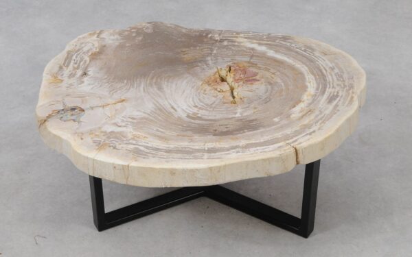 Table basse bois pétrifié 53331