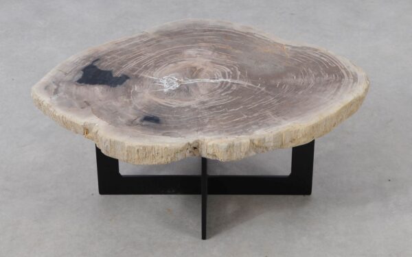 Table basse bois pétrifié 53468