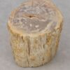 Table d'appoint bois pétrifié 53020