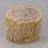 Table d'appoint bois pétrifié 53020
