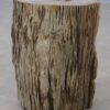 Table d'appoint bois pétrifié 53022