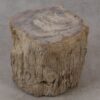 Table d'appoint bois pétrifié 53024