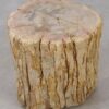 Table d'appoint bois pétrifié 53040