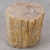 Table d'appoint bois pétrifié 53040