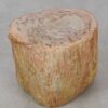 Table d'appoint bois pétrifié 53043