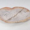 Assiette bois pétrifié 54054