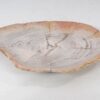 Assiette bois pétrifié 54056