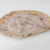 Assiette bois pétrifié 54074