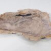Assiette bois pétrifié 54076