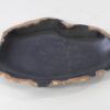 Assiette bois pétrifié 54100