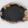 Assiette bois pétrifié 54104