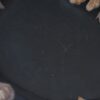 Assiette bois pétrifié 54106