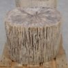 Beistelltisch versteinertes Holz 52006