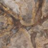 Beistelltisch versteinertes Holz 52006