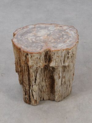 Bijzettafel versteend hout 53017