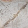 Bord versteend hout 54054