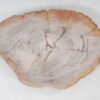Bord versteend hout 54056