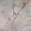 Bord versteend hout 54056