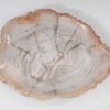 Bord versteend hout 54061