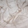 Bord versteend hout 54061