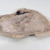 Bord versteend hout 54077
