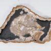 Bord versteend hout 54141