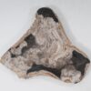 Bord versteend hout 54274