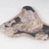 Bord versteend hout 54274