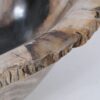 Schaal versteend hout 54280