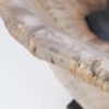 Schaal versteend hout 54280