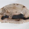 Schaal versteend hout 54280