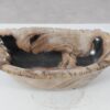 Schaal versteend hout 54280