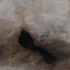 Schaal versteend hout 54282