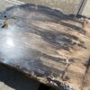Mesa madera petrificada 54243