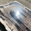 Mesa madera petrificada 54244