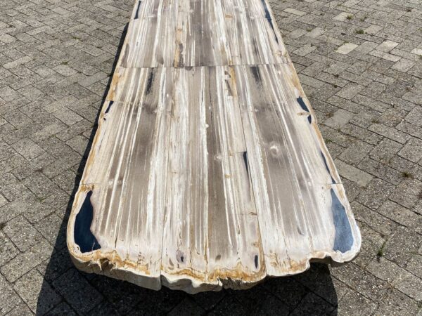 Mesa madera petrificada 54251