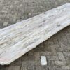 Mesa madera petrificada 54254